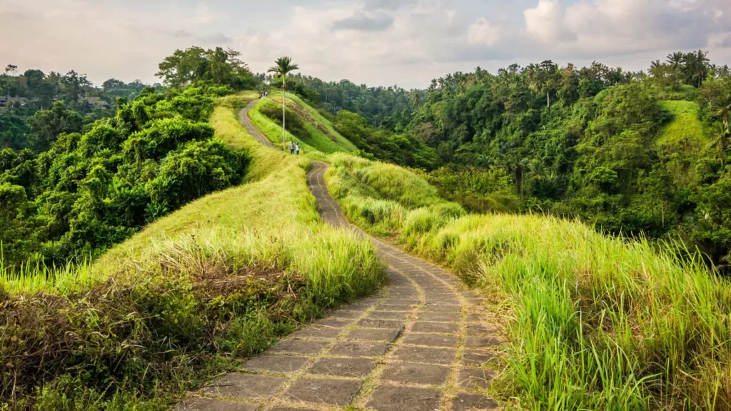 campuhan hill ubud