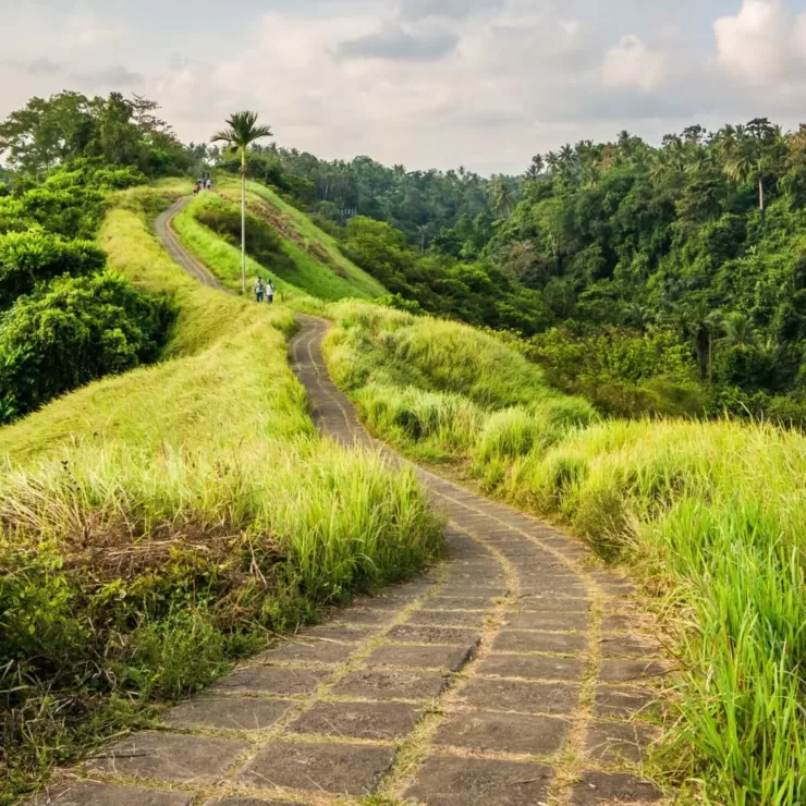 Campuhan Hill Ubud: Ticket Prices, Photos, Location, and Facilities