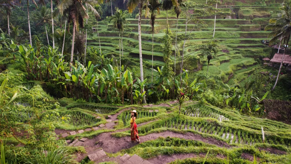 Places To Visit In Ubud