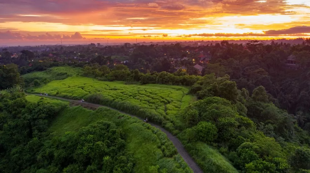 campuhan hill ubud