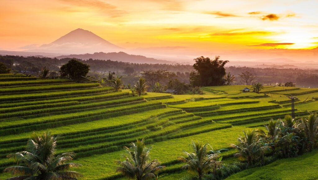 Bali’s Eco Destinations