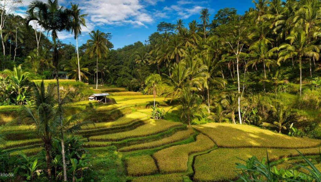 Bali’s Eco Destinations