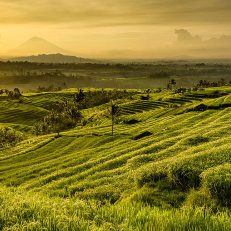 6 Must-Visit Eco-Tourism Villages in Bali