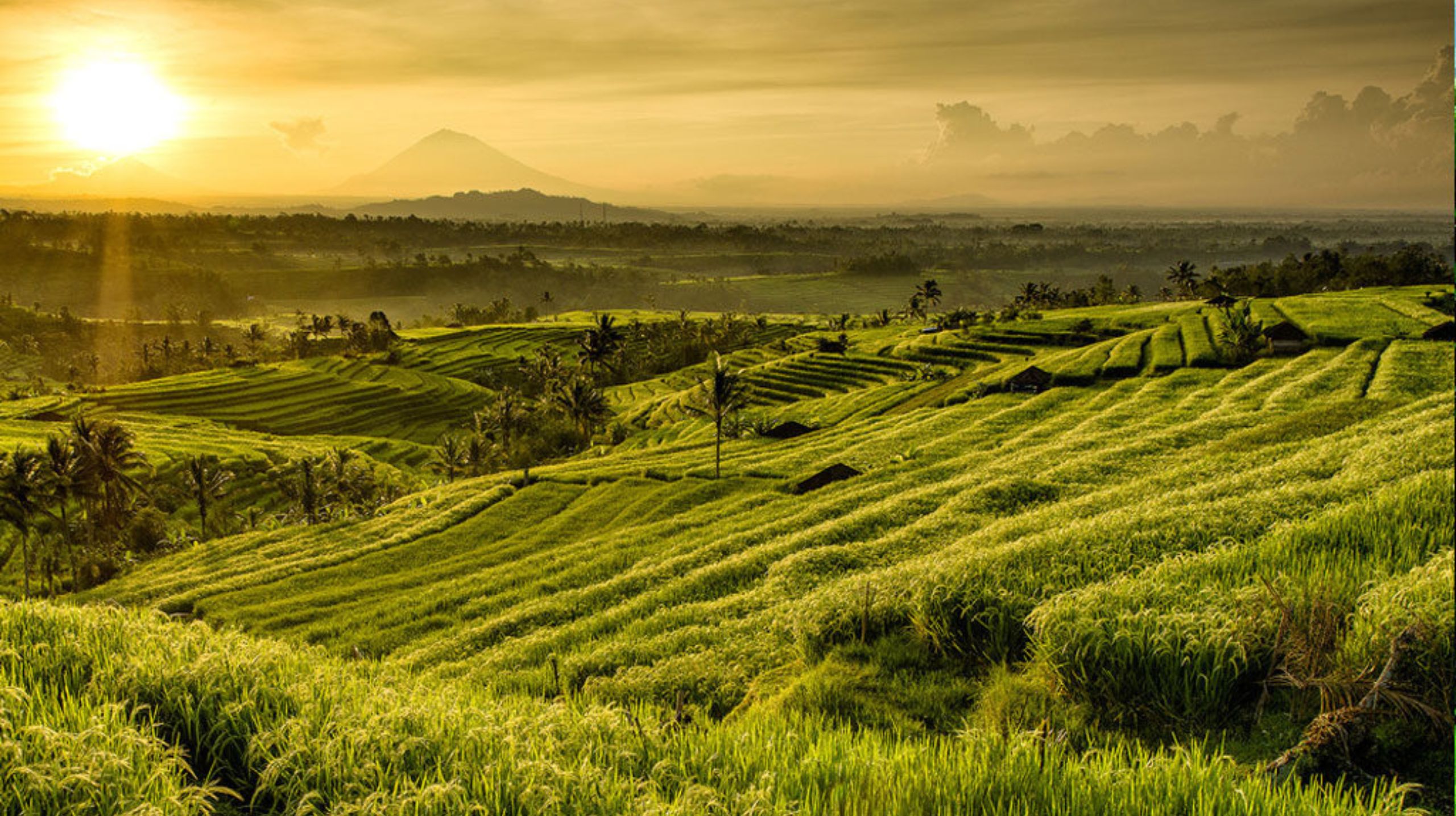 6 Must-Visit Eco-Tourism Villages in Bali