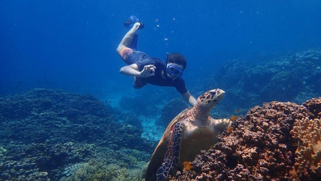 Menjangan Island Paradise