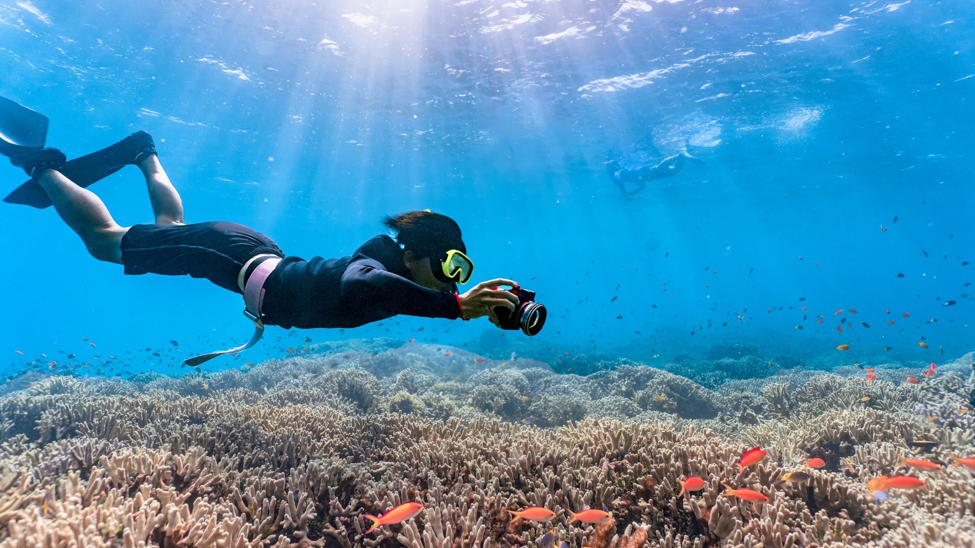 snorkeling and diving ayunan amed (3)